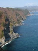 �L�̑��f�R