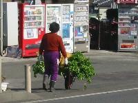 �g���g���卪���^�ԋg���g���l