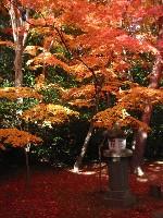 �����_�Ђ̍g�t