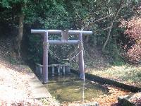 ���ꂶ�Ⴝ���̐����肾��B