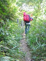 �՘H�]�������䂭