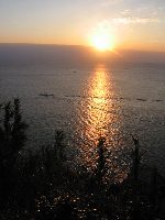 �������̓��̏o