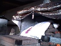 �\�郖���̃l�{�X�P��t