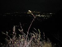 �̐g���Ԃ���̖�i