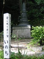 �u���ƌ��Ɨ͂̑��v�������ł�