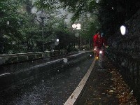 �J�̔����z��