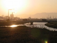 �c�q�̉Y�̗[��