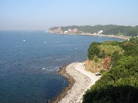 �t�肩��m�������𒭂߂�