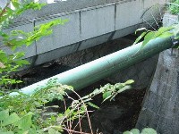 ���ߋ��̉��͂����̃h�u