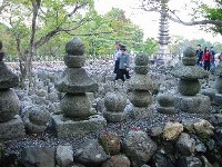 ����O����