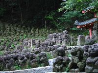 �����O����