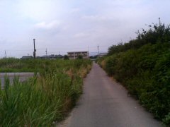 �w���瓹�H�܂ŁB�B�B