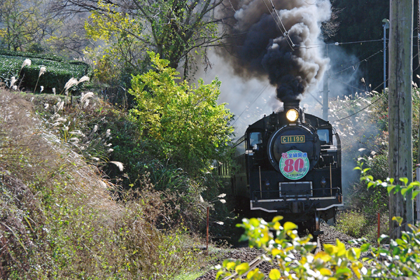 MOON_PEACH����B�e