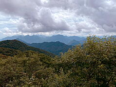 KGI Regular Training Program