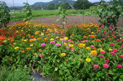 KGSガイドツアー2