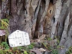 KGI Regular Training Program