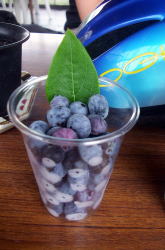 KGSガイドツアー2