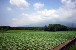 KGSガイドツアー2