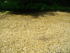 KGSガイドツアー2