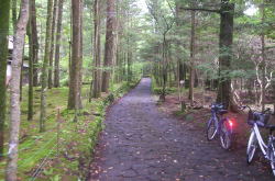 KGSガイドツアー1