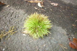 KGSガイドツアー1