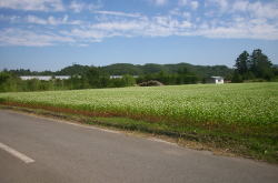 KGSガイドツアー1