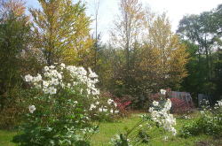 KGSガイドツアー1