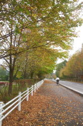 KGSガイドツアー1