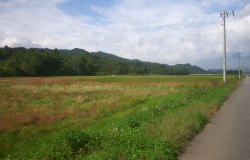 KGSガイドツアー1