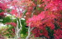 KGSガイドツアー1