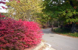 KGSガイドツアー1