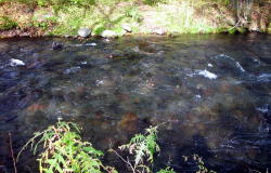 KGSガイドツアー1