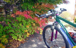 KGSガイドツアー1