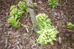 KGSガイドツアー3