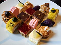 KGI Regular Training Program