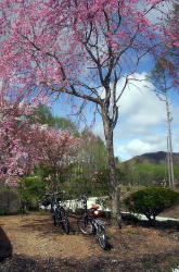 KGSガイドツアー3