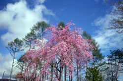 KGSガイドツアー3