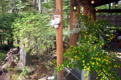 KGSガイドツアー3