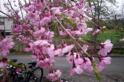 KGSガイドツアー3