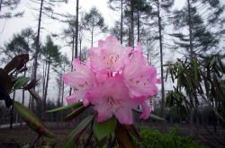 KGSガイドツアー3