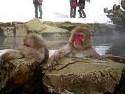 オーダーメイドプラン