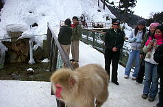 KGSガイドツアー3