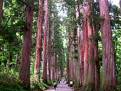 KGI English Training Program