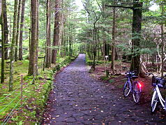 軽井沢リゾートサイクリング