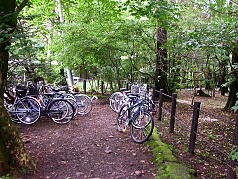 軽井沢リゾートサイクリング