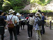 Guiding English Lesson