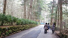 ボランティアガイド