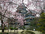 オーダーメイドプラン