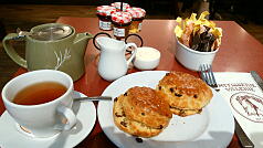 KGI English Training Program