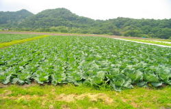 KGSガイドツアー2